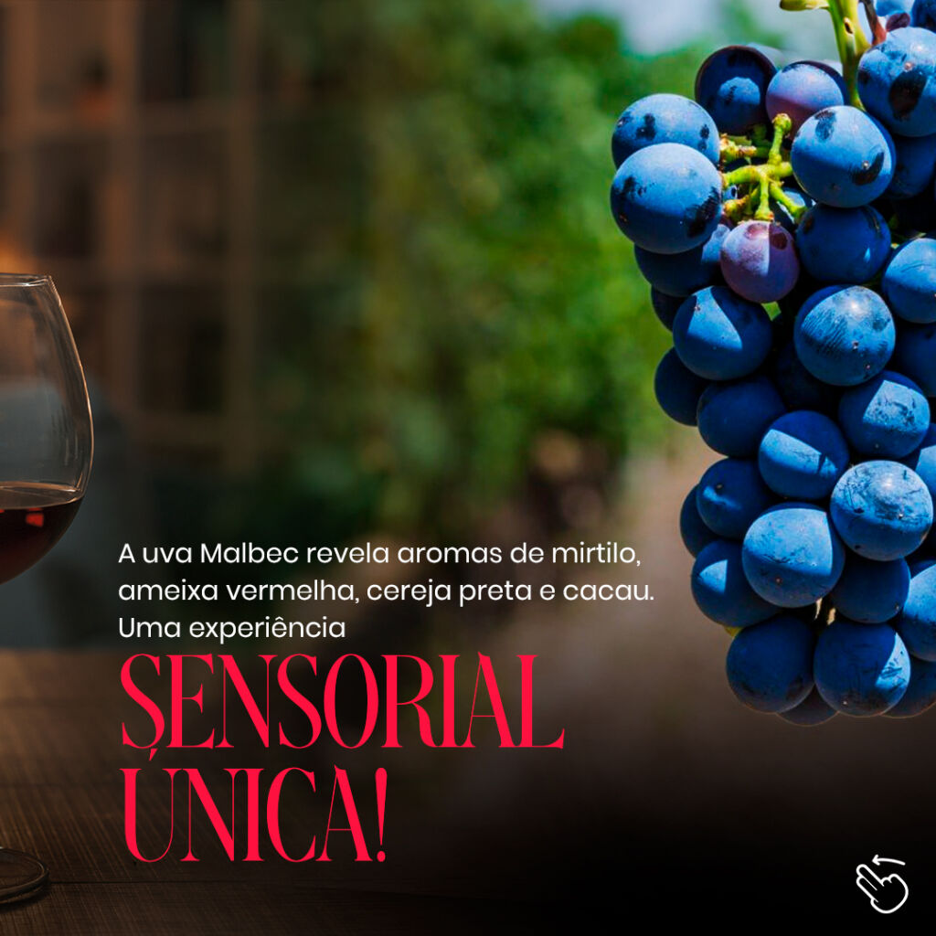 aromas-encantadores (2)