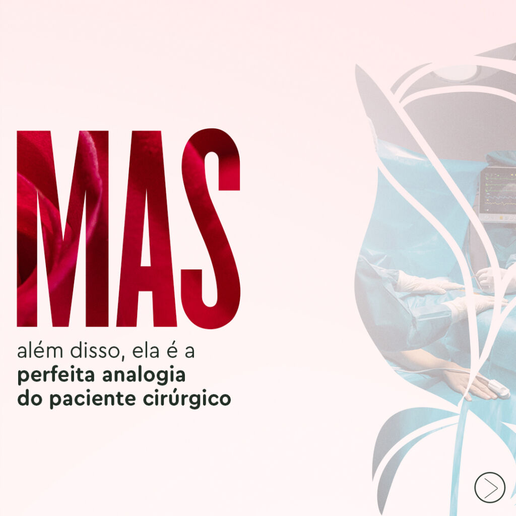 pacientes-sao-como-rosa (4)