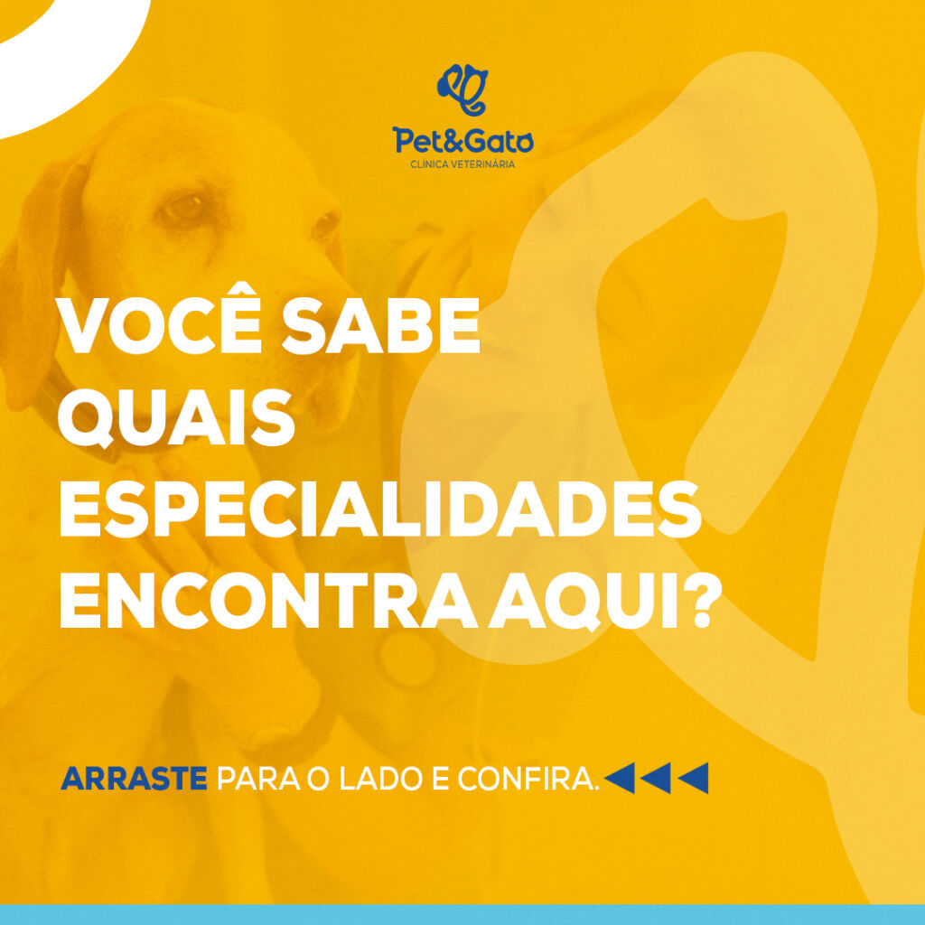 quais-especialidades (1)