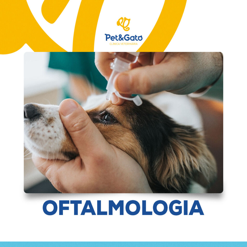 quais-especialidades (6)