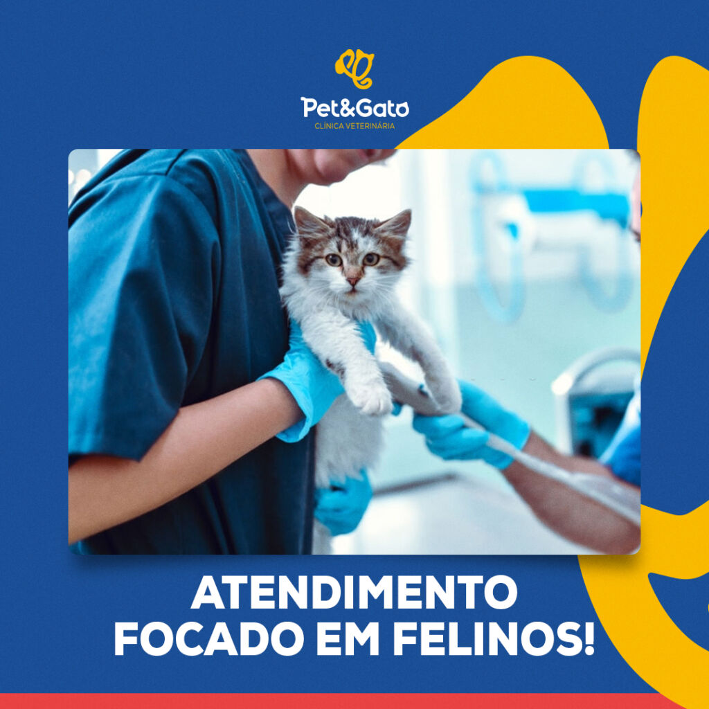 quais-especialidades (7)