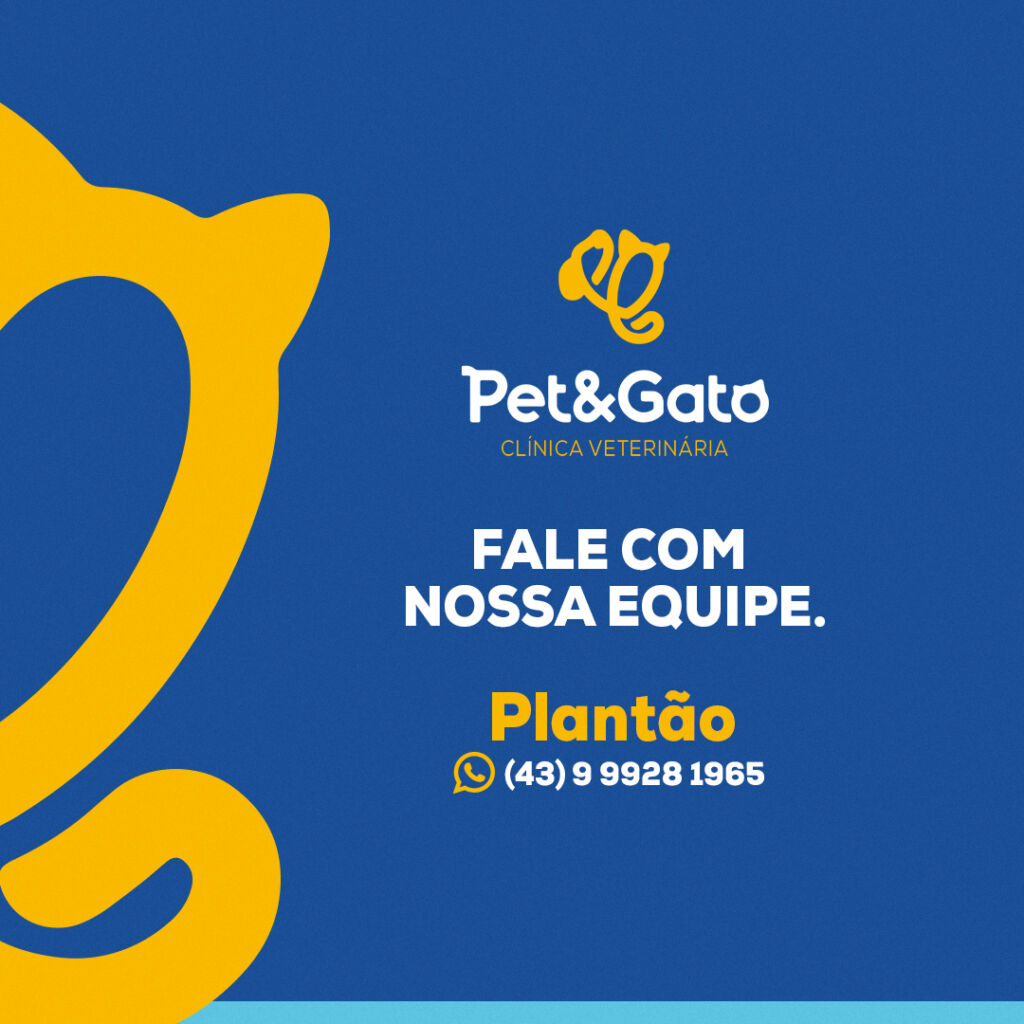 quais-especialidades (8)